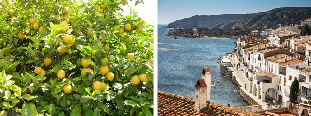 Paesaggio di Gin Mare