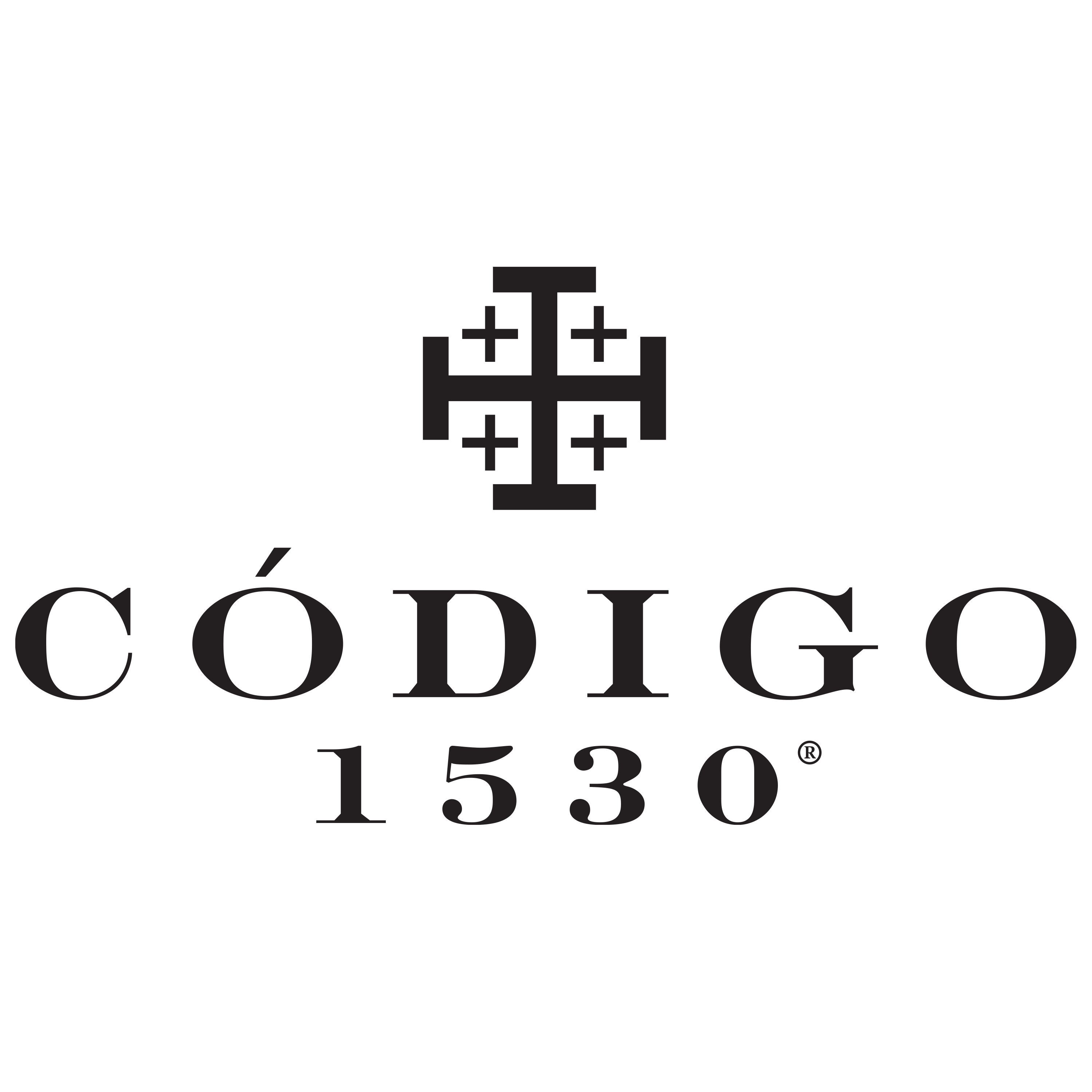 Codigo